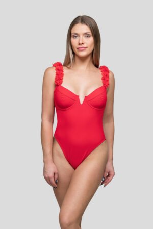 MODELO AURORA